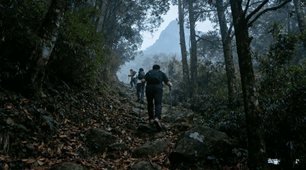 安装佛跳墙加速器是否能够有效缓解游戏延迟问题的全面解析
